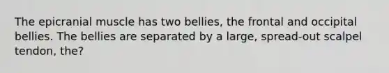 The epicranial muscle has two bellies, the frontal and occipital bellies. The bellies are separated by a large, spread-out scalpel tendon, the?