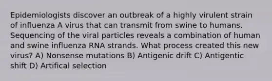 Epidemiologists discover an outbreak of a highly virulent strain of influenza A virus that can transmit from swine to humans. Sequencing of the viral particles reveals a combination of human and swine influenza RNA strands. What process created this new virus? A) Nonsense mutations B) Antigenic drift C) Antigentic shift D) Artifical selection