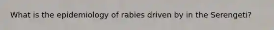 What is the epidemiology of rabies driven by in the Serengeti?