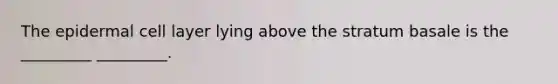 The epidermal cell layer lying above the stratum basale is the _________ _________.