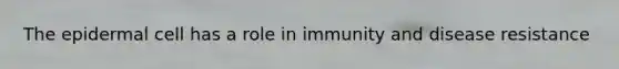 The epidermal cell has a role in immunity and disease resistance