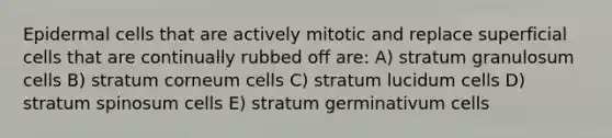 Epidermal cells that are actively mitotic and replace superficial cells that are continually rubbed off are: A) stratum granulosum cells B) stratum corneum cells C) stratum lucidum cells D) stratum spinosum cells E) stratum germinativum cells