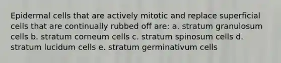 Epidermal cells that are actively mitotic and replace superficial cells that are continually rubbed off are: a. stratum granulosum cells b. stratum corneum cells c. stratum spinosum cells d. stratum lucidum cells e. stratum germinativum cells