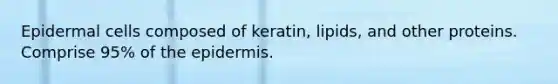 Epidermal cells composed of keratin, lipids, and other proteins. Comprise 95% of the epidermis.