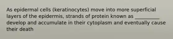 As epidermal cells (keratinocytes) move into more superficial layers of the epidermis, strands of protein known as __________ develop and accumulate in their cytoplasm and eventually cause their death