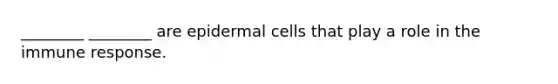 ________ ________ are epidermal cells that play a role in the immune response.