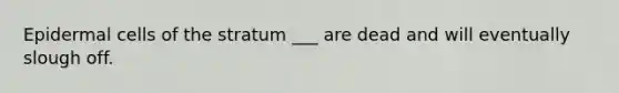 Epidermal cells of the stratum ___ are dead and will eventually slough off.