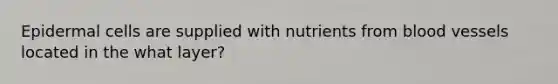 Epidermal cells are supplied with nutrients from blood vessels located in the what layer?
