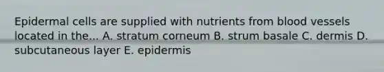 Epidermal cells are supplied with nutrients from blood vessels located in the... A. stratum corneum B. strum basale C. dermis D. subcutaneous layer E. epidermis