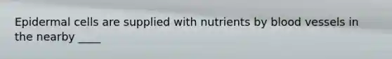 Epidermal cells are supplied with nutrients by blood vessels in the nearby ____