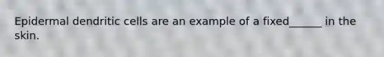 Epidermal dendritic cells are an example of a fixed______ in the skin.