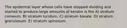 The epidermal layer whose cells have stopped dividing and started to produce large amounts of keratin is the A) stratum corneum. B) stratum lucidum. C) stratum basale. D) stratum granulosum. E) stratum spinosum.