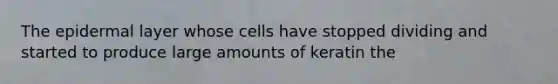 The epidermal layer whose cells have stopped dividing and started to produce large amounts of keratin the