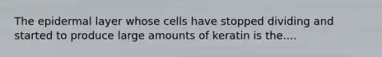 The epidermal layer whose cells have stopped dividing and started to produce large amounts of keratin is the....