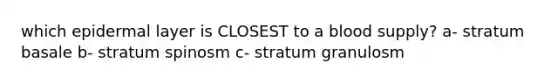 which epidermal layer is CLOSEST to a blood supply? a- stratum basale b- stratum spinosm c- stratum granulosm