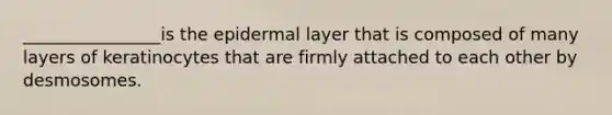 ________________is the epidermal layer that is composed of many layers of keratinocytes that are firmly attached to each other by desmosomes.