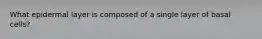 What epidermal layer is composed of a single layer of basal cells?