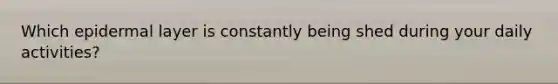 Which epidermal layer is constantly being shed during your daily activities?