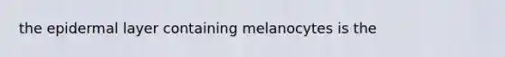 the epidermal layer containing melanocytes is the