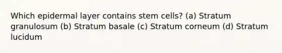 Which epidermal layer contains stem cells? (a) Stratum granulosum (b) Stratum basale (c) Stratum corneum (d) Stratum lucidum