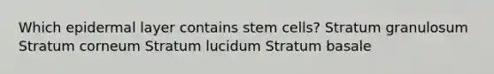 Which epidermal layer contains stem cells? Stratum granulosum Stratum corneum Stratum lucidum Stratum basale