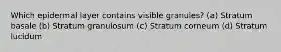 Which epidermal layer contains visible granules? (a) Stratum basale (b) Stratum granulosum (c) Stratum corneum (d) Stratum lucidum