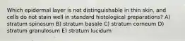 Which epidermal layer is not distinguishable in thin skin, and cells do not stain well in standard histological preparations? A) stratum spinosum B) stratum basale C) stratum corneum D) stratum granulosum E) stratum lucidum