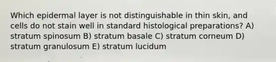 Which epidermal layer is not distinguishable in thin skin, and cells do not stain well in standard histological preparations? A) stratum spinosum B) stratum basale C) stratum corneum D) stratum granulosum E) stratum lucidum