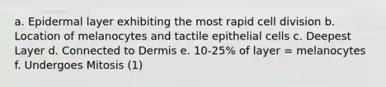 a. Epidermal layer exhibiting the most rapid <a href='https://www.questionai.com/knowledge/kjHVAH8Me4-cell-division' class='anchor-knowledge'>cell division</a> b. Location of melanocytes and tactile epithelial cells c. Deepest Layer d. Connected to Dermis e. 10-25% of layer = melanocytes f. Undergoes Mitosis (1)