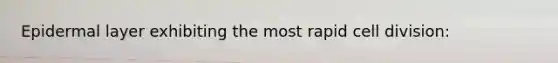 Epidermal layer exhibiting the most rapid <a href='https://www.questionai.com/knowledge/kjHVAH8Me4-cell-division' class='anchor-knowledge'>cell division</a>: