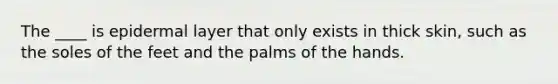 The ____ is epidermal layer that only exists in thick skin, such as the soles of the feet and the palms of the hands.