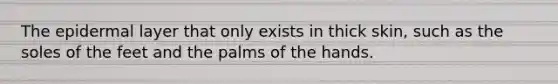 The epidermal layer that only exists in thick skin, such as the soles of the feet and the palms of the hands.