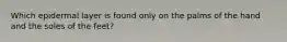 Which epidermal layer is found only on the palms of the hand and the soles of the feet?