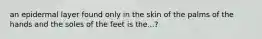 an epidermal layer found only in the skin of the palms of the hands and the soles of the feet is the...?