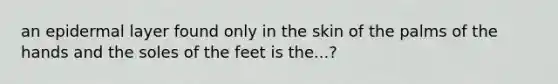 an epidermal layer found only in the skin of the palms of the hands and the soles of the feet is the...?