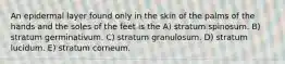 An epidermal layer found only in the skin of the palms of the hands and the soles of the feet is the A) stratum spinosum. B) stratum germinativum. C) stratum granulosum. D) stratum lucidum. E) stratum corneum.