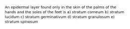 An epidermal layer found only in the skin of the palms of the hands and the soles of the feet is a) stratum corneum b) stratum lucidum c) stratum germinativum d) stratum granulosum e) stratum spinosum