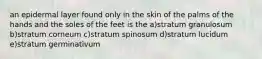 an epidermal layer found only in the skin of the palms of the hands and the soles of the feet is the a)stratum granulosum b)stratum corneum c)stratum spinosum d)stratum lucidum e)stratum germinativum