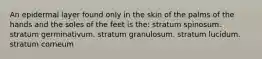 An epidermal layer found only in the skin of the palms of the hands and the soles of the feet is the: stratum spinosum. stratum germinativum. stratum granulosum. stratum lucidum. stratum corneum