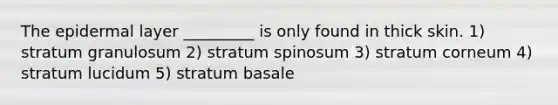 The epidermal layer _________ is only found in thick skin. 1) stratum granulosum 2) stratum spinosum 3) stratum corneum 4) stratum lucidum 5) stratum basale