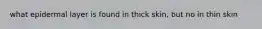 what epidermal layer is found in thick skin, but no in thin skin