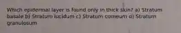 Which epidermal layer is found only in thick skin? a) Stratum basale b) Stratum lucidum c) Stratum corneum d) Stratum granulosum