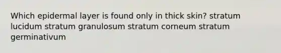 Which epidermal layer is found only in thick skin? stratum lucidum stratum granulosum stratum corneum stratum germinativum