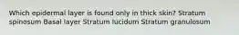 Which epidermal layer is found only in thick skin? Stratum spinosum Basal layer Stratum lucidum Stratum granulosum