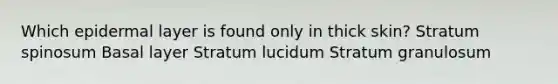 Which epidermal layer is found only in thick skin? Stratum spinosum Basal layer Stratum lucidum Stratum granulosum