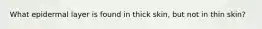 What epidermal layer is found in thick skin, but not in thin skin?