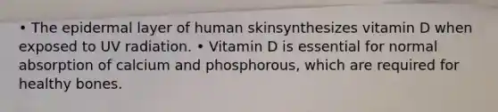 • The epidermal layer of human skinsynthesizes vitamin D when exposed to UV radiation. • Vitamin D is essential for normal absorption of calcium and phosphorous, which are required for healthy bones.