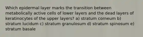 Which epidermal layer marks the transition between metabolically active cells of lower layers and the dead layers of keratinocytes of the upper layers? a) stratum corneum b) stratum lucidum c) stratum granulosum d) stratum spinosum e) stratum basale