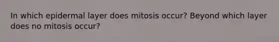 In which epidermal layer does mitosis occur? Beyond which layer does no mitosis occur?