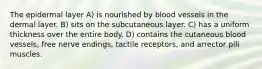 The epidermal layer A) is nourished by blood vessels in the dermal layer. B) sits on the subcutaneous layer. C) has a uniform thickness over the entire body. D) contains the cutaneous blood vessels, free nerve endings, tactile receptors, and arrector pili muscles.